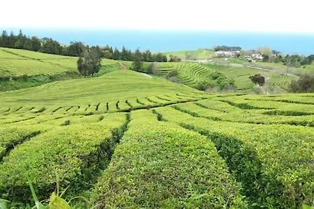 Apartment Margarida House - Stone *