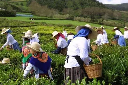 Margarida House - Stone 公寓 大里贝拉